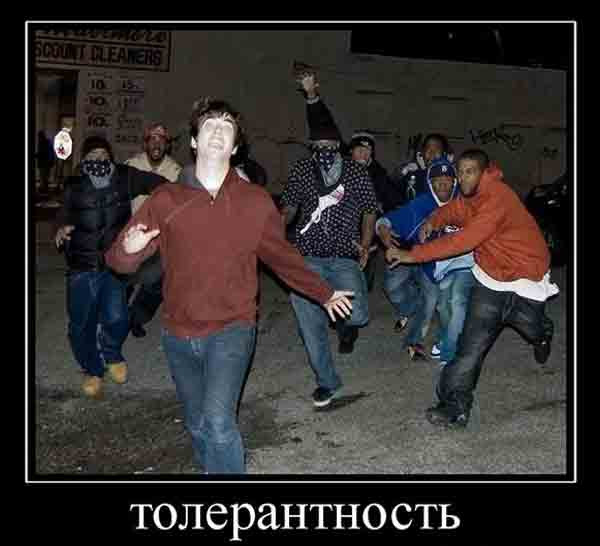 Ислам загоняет Европу в демографическую ловушку