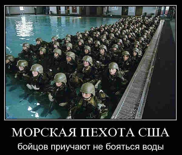 В США некому воевать с Россией. Американцы либо ожирели, либо отупели, либо разочаровались в своих вооруженных силах