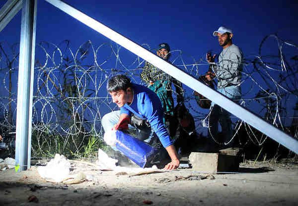 Нелегальные мигранты довели Европу до военной истерии