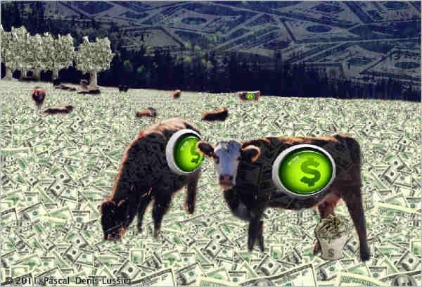 В Германии от употребления корма с ГМО гибнет скот и закрываются фермы