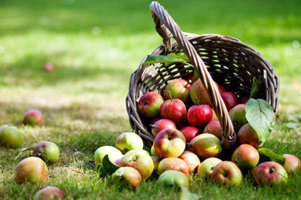 Яблочные европейские банкротства, как результат ввода санкций против России