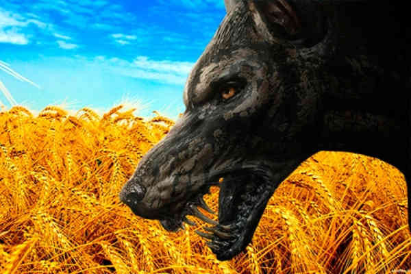 Превращение Украины в колонию или новый мировой порядок на примере одной бывшей страны