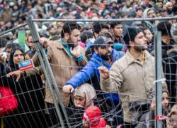 Преступный бизнес на миграционном кризисе в Европе