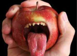 Россия доказала свою силу, запретив ввоз ГМО-компонетов в страну, несмотря на жесткое давление со стороны транснациональных корпораций