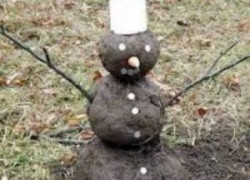 Как последователи политкорректности в США трансформируют общество в стадо психически больных людей