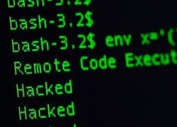 Группировка хакеров досадила Трампу за ракетную атаку на Сирию. АНБ несет серьезные потери в информационной борьбе