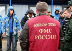 Новый законопроект, касающийся миграции, внесён на рассмотрение Госдумы