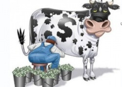 Инфляция создается банками, чтобы вытягивать деньги у людей, используя их как дойную корову