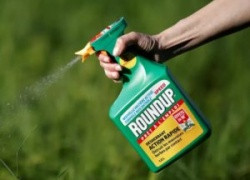 Решение американского суда подтвердило связь между использованием глифосата "Roundup" компании Monsanto и раковыми заболеваниями у людей