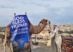 Американский эксперт: Трамп окончательно превратился в безмолвную марионетку Израиля, толкая США в пропасть