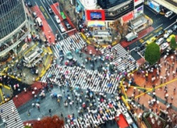 Жизнь на "планете Япония": сумасшествие или просто такой образ жизни