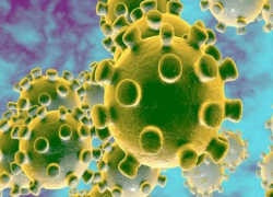 Коронавирус пока еще не катастрофа, но маски для лица сомнительная защита. Вводятся ограничения на путешествия