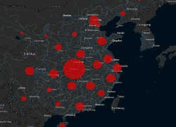 Наряду с короновирусом по всей Азии одновременно набирают обороты еще три эпидемии: африканская чума свиней, птичий грипп H5N1 и свиной грипп H1N1