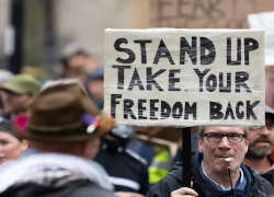 В США растут призывы к массовым гражданским неповиновениям и протестам