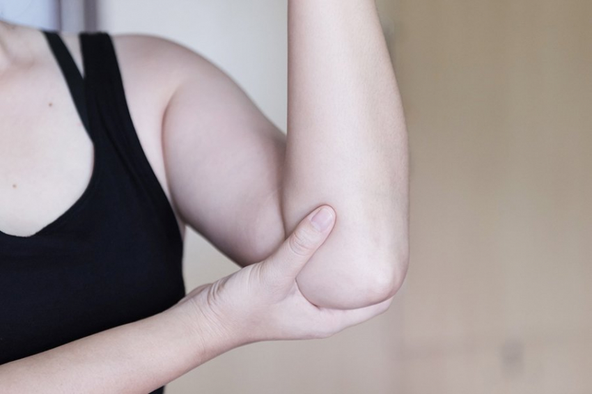 Биологи проследили происхождение суставов до наших похожих на акул предков