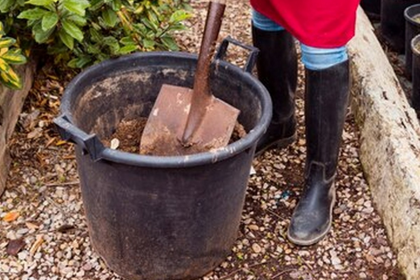 Весной разбросайте старые тряпки по огороду: хитрые дачники так делают для защиты урожая