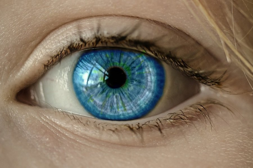Новое исследование указывает на связь зрачков с рабочей памятью