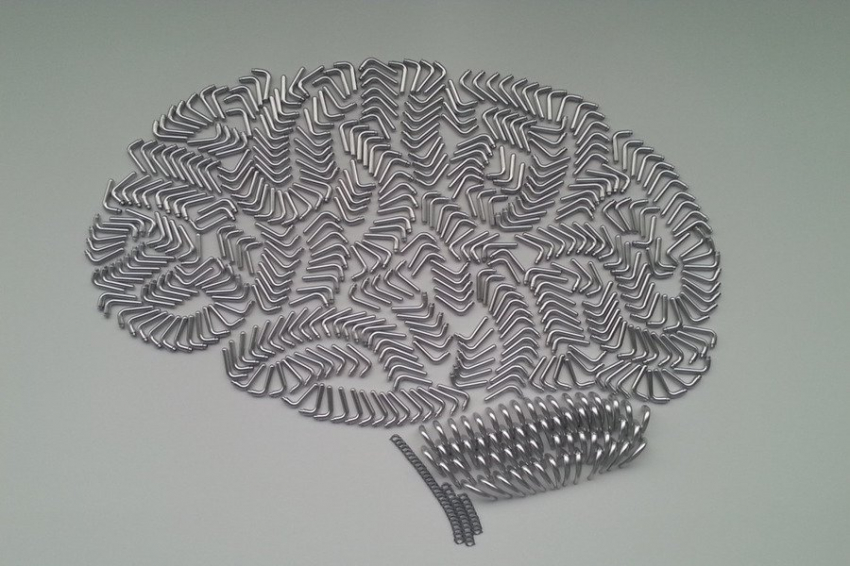 Разработана математическая функция для диагностики заболеваний мозга