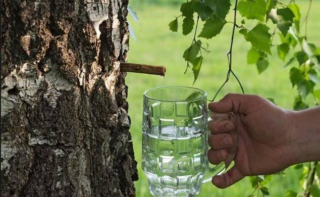 Что можно и нельзя делать в народный праздник 11 мая 2024 года по приметам