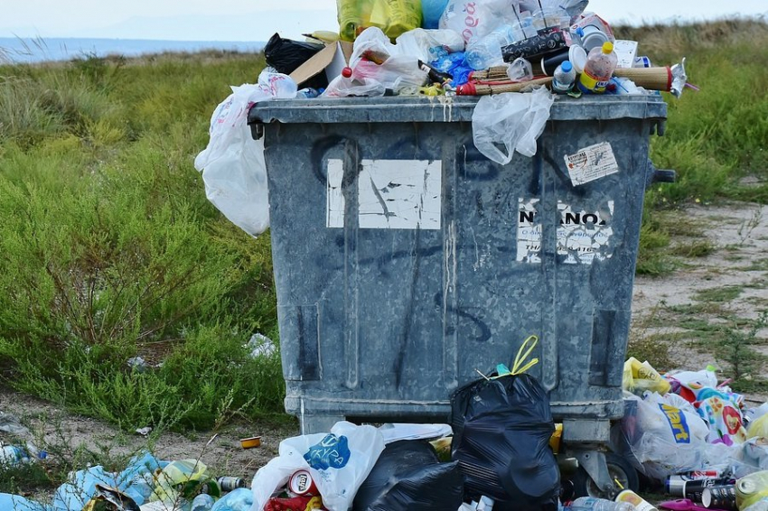 Разработан "живой" пластик, перспективный в борьбе с загрязнением