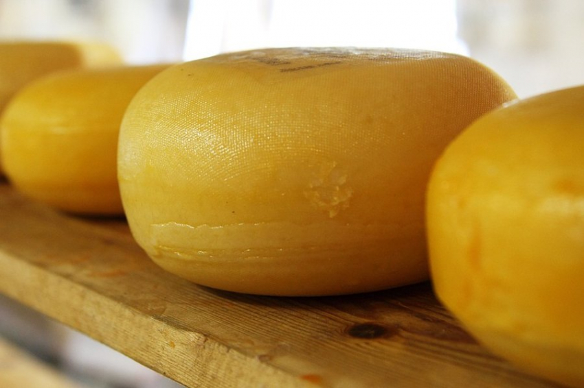 Science Focus рассказал о пользе и вреде употребления сыра