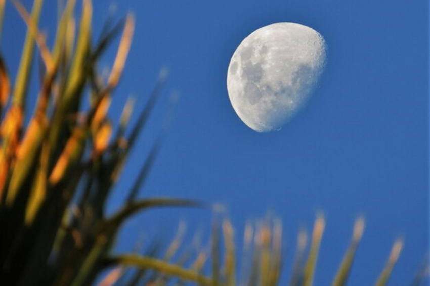 Астропрогноз в день новолуния в мае 2024 года и его влияние на человека