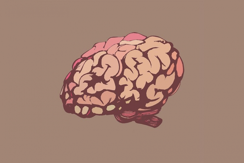 NHB: внутренний нейронный компас помогает человеку не заблудиться