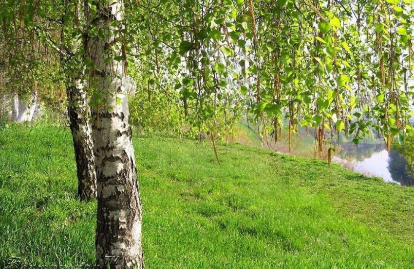 Народные приметы и поверья на 11 мая