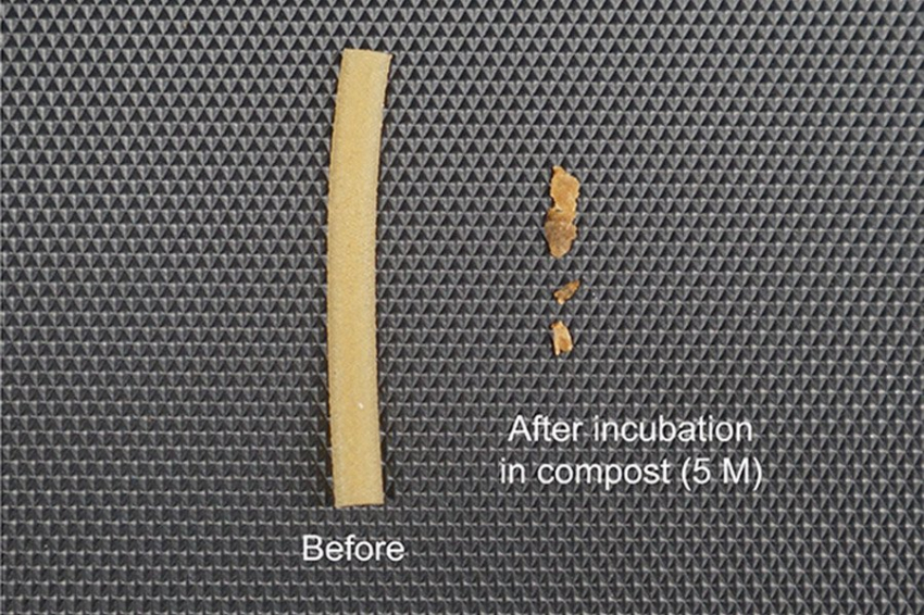 Ученые разработали пластик, способный к биоразложению
