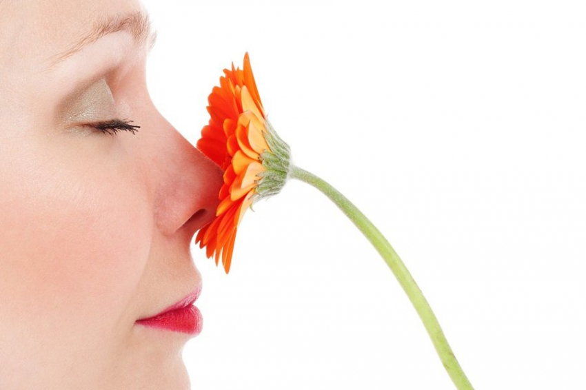 Один и тот же запах воспринимается по разному в зависимости от названия