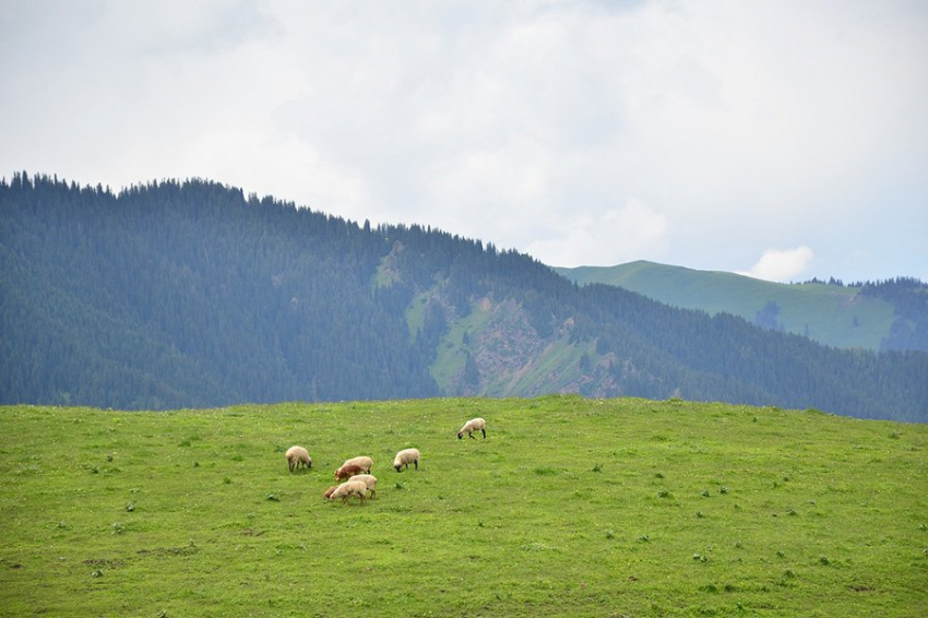 Кочевники процветали в Греции после распада Римской империи
