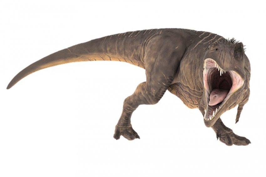 В Аргентине найдены останки неизвестного вида хищного динозавра