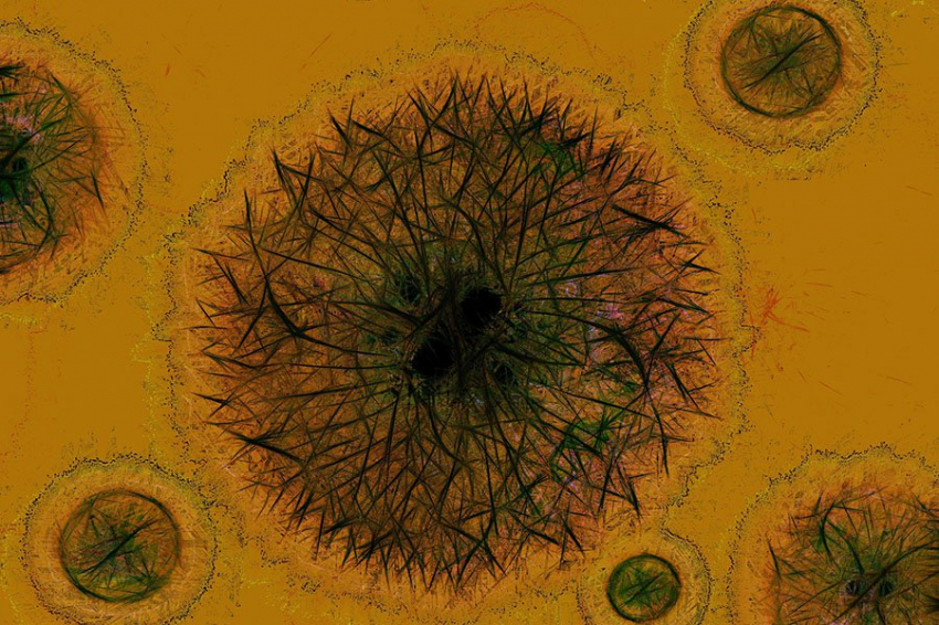 Ученые создают новый вирус, который может вызвать гибель клеток в опухолях
