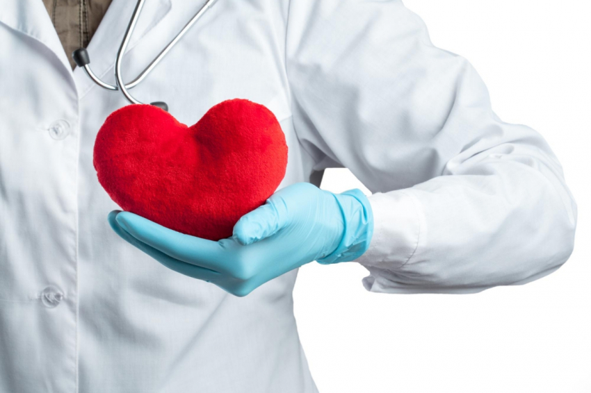 ES&T: Названы органы человека, где выявлен микропластик