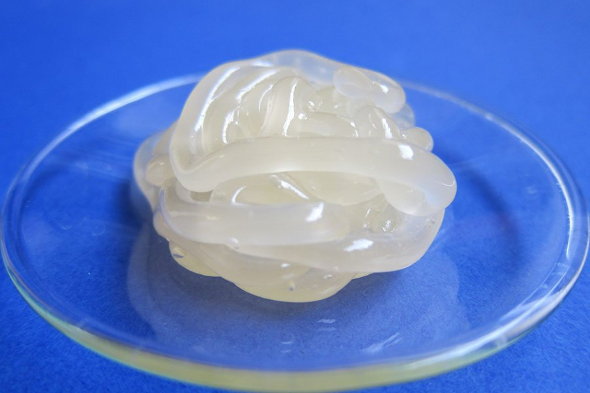 Ученые из Волгограда создали ранозаживляющую мазь для участников СВО