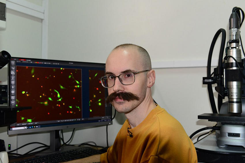 Подсчет окрашенных клеток увеличивает оценку эффективности онкопрепаратов