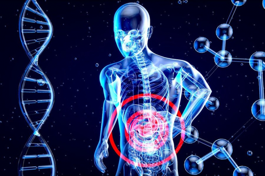 Ученые выявили виновника старения и возрастных болезней