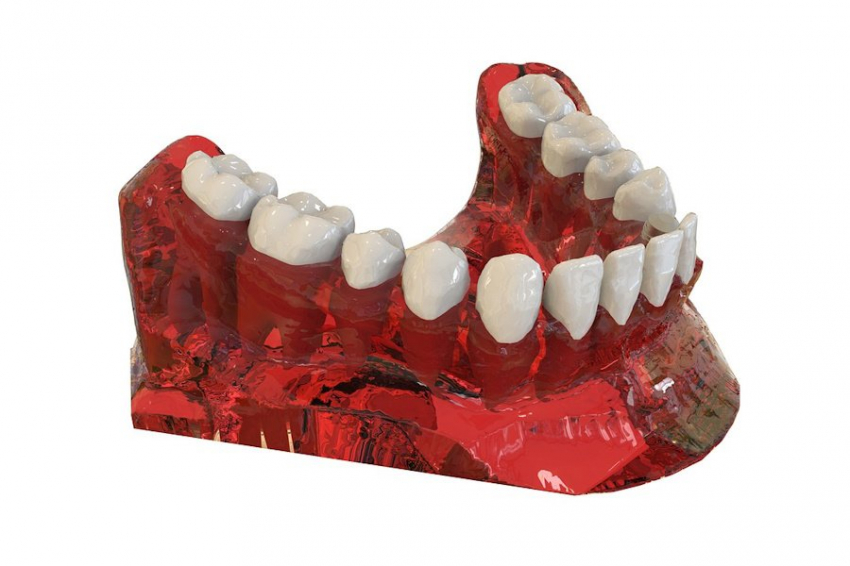 Археологи обнаружили челюсти с фарфоровыми зубами при раскопках в Сибири