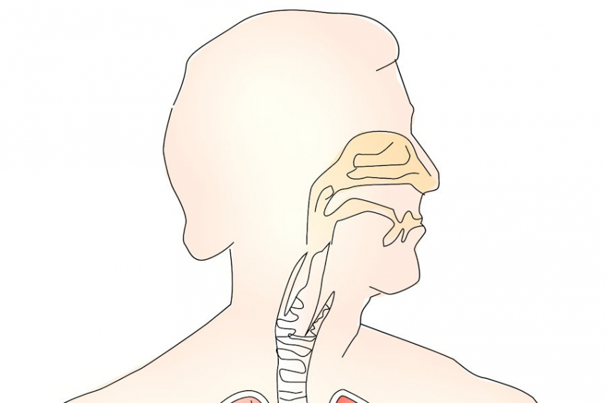 В CUHK разработали, запускающий в клетках рака цикл самоуничтожения