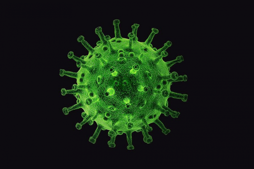 Птичий грипп час остается на доильном оборудовании, увеличивая риск заражения