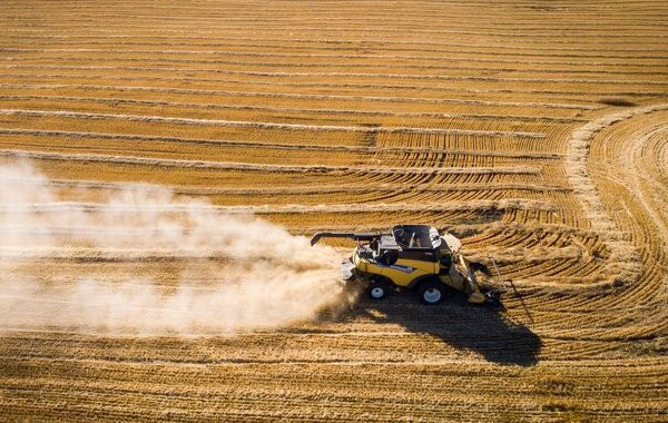 Сельское хозяйство в Евросоюзе впало в зависимость от российских удобрений