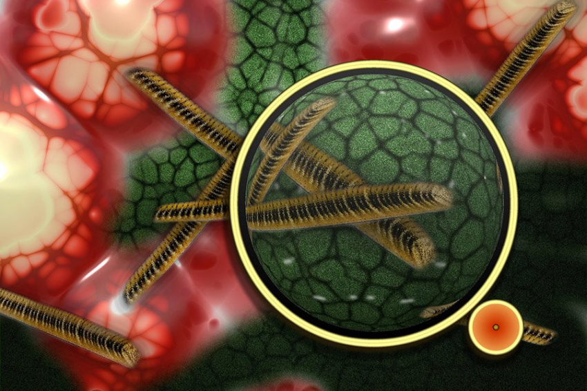 Инженеры нашли способ защитить микробы от экстремальных условий