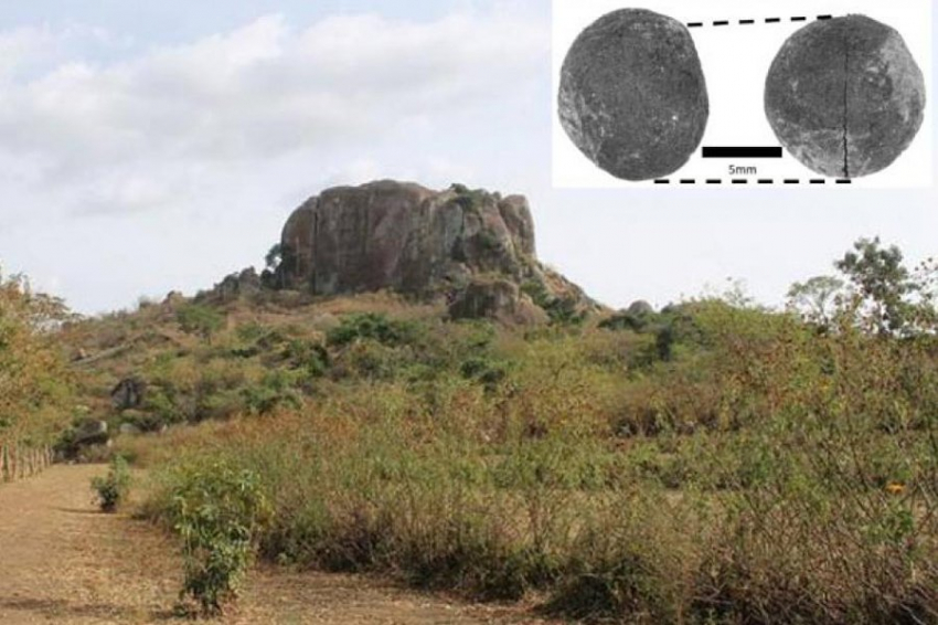 Самые ранние свидетельства земледелия обнаружены в Восточной Африке