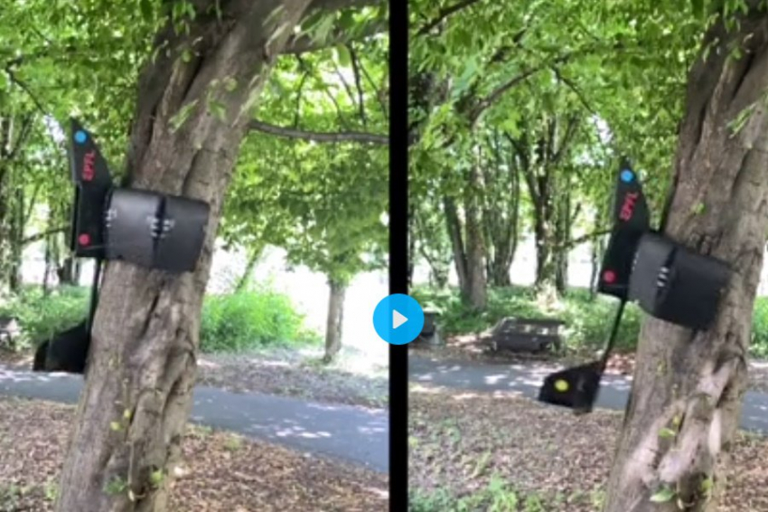 В Швейцарии создали дрон, умеющий садиться на вертикальные поверхности