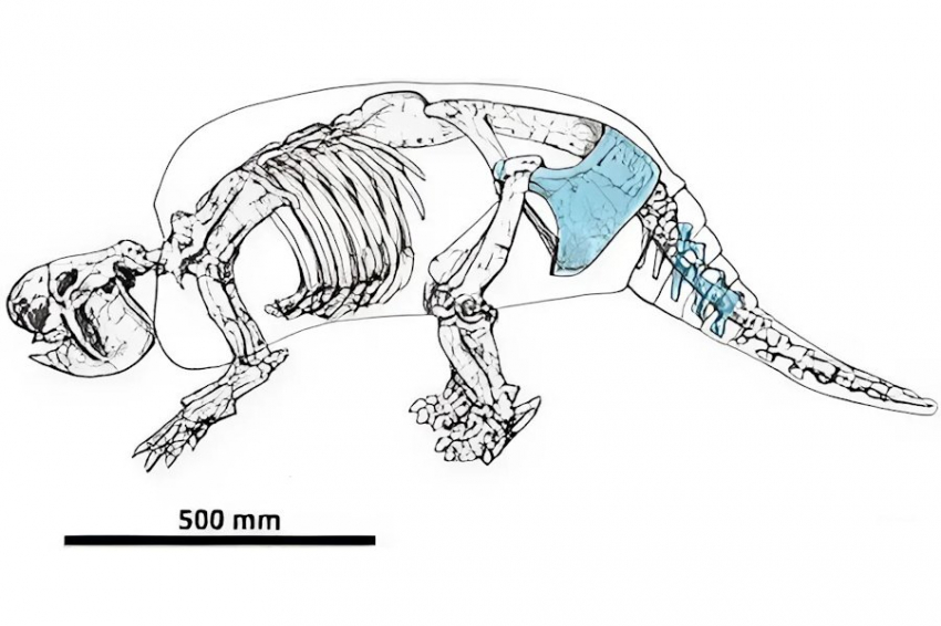 Оспаривание хронологии: древние люди жили в Южной Америке более 20 000 лет назад