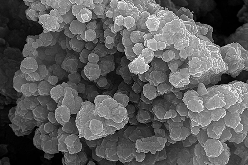 Микробы, вероятно, образуют магнетит в Южно-Китайском море