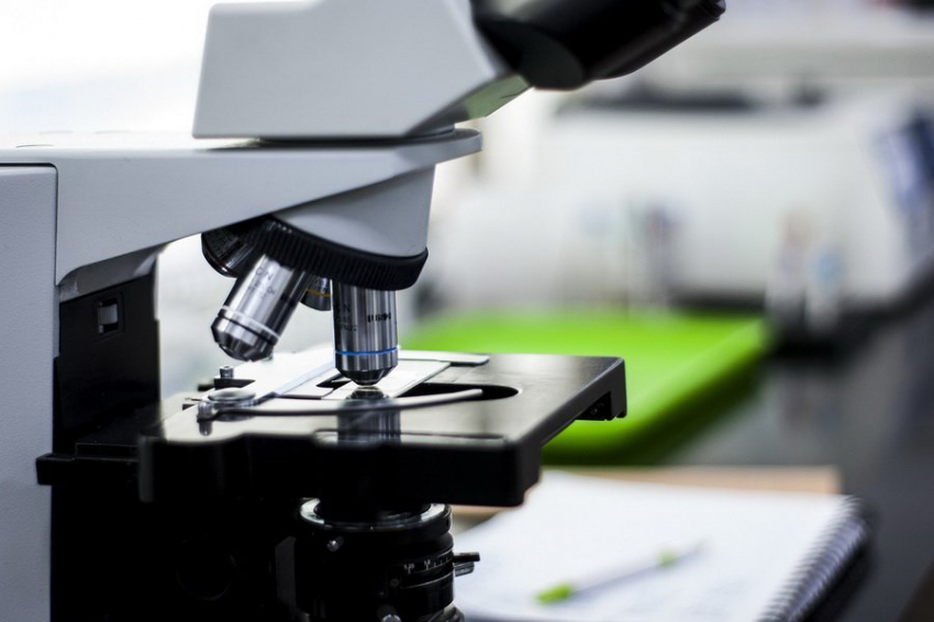 PNAS: фермент APC/C играет критическую роль в прекращении роста раковых клеток