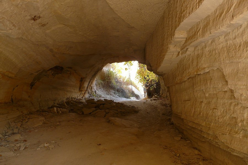 PLOS One: охотники-собиратели поддерживали порядок в доме 