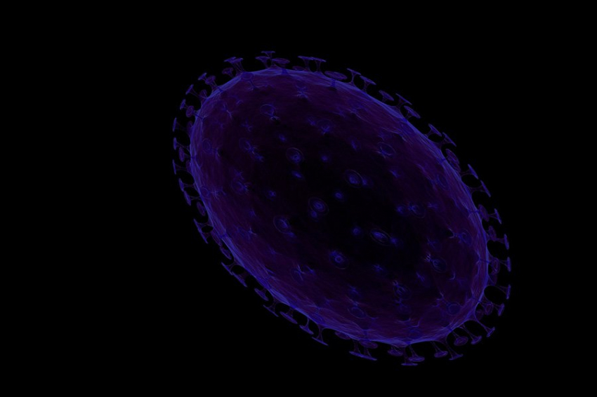 Ученые создали новые и улучшенные молекулы доставки лекарств для скелетных мышц