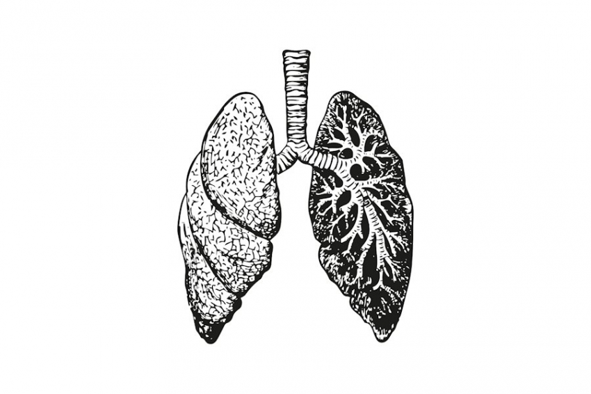 Nature: высокая концентрация частиц PM2.5 в воздухе увеличивает риск рака легких